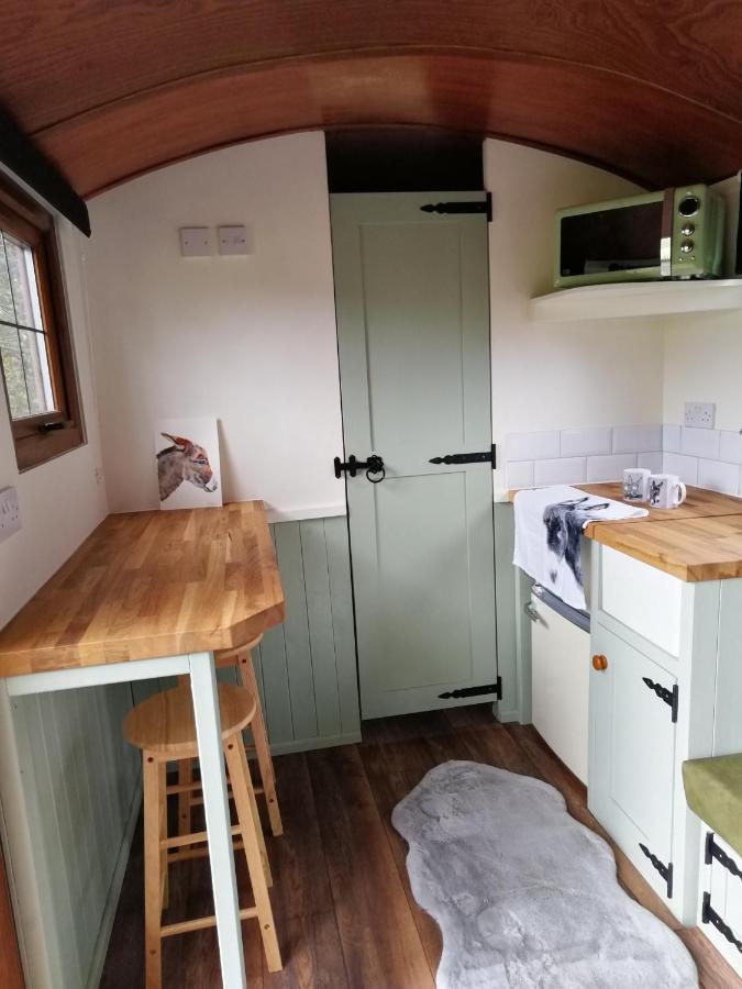 Durham Donkey Rescue Shepherd'S Hut Ξενοδοχείο Εξωτερικό φωτογραφία