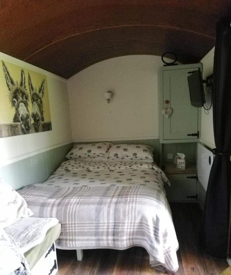 Durham Donkey Rescue Shepherd'S Hut Ξενοδοχείο Εξωτερικό φωτογραφία