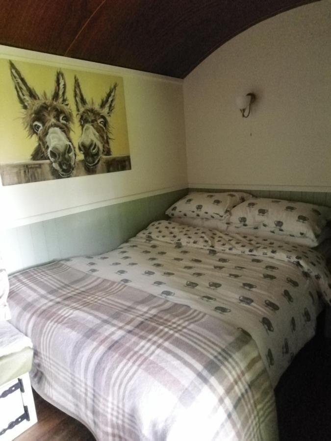 Durham Donkey Rescue Shepherd'S Hut Ξενοδοχείο Εξωτερικό φωτογραφία