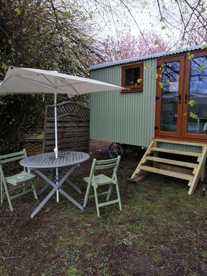Durham Donkey Rescue Shepherd'S Hut Ξενοδοχείο Εξωτερικό φωτογραφία