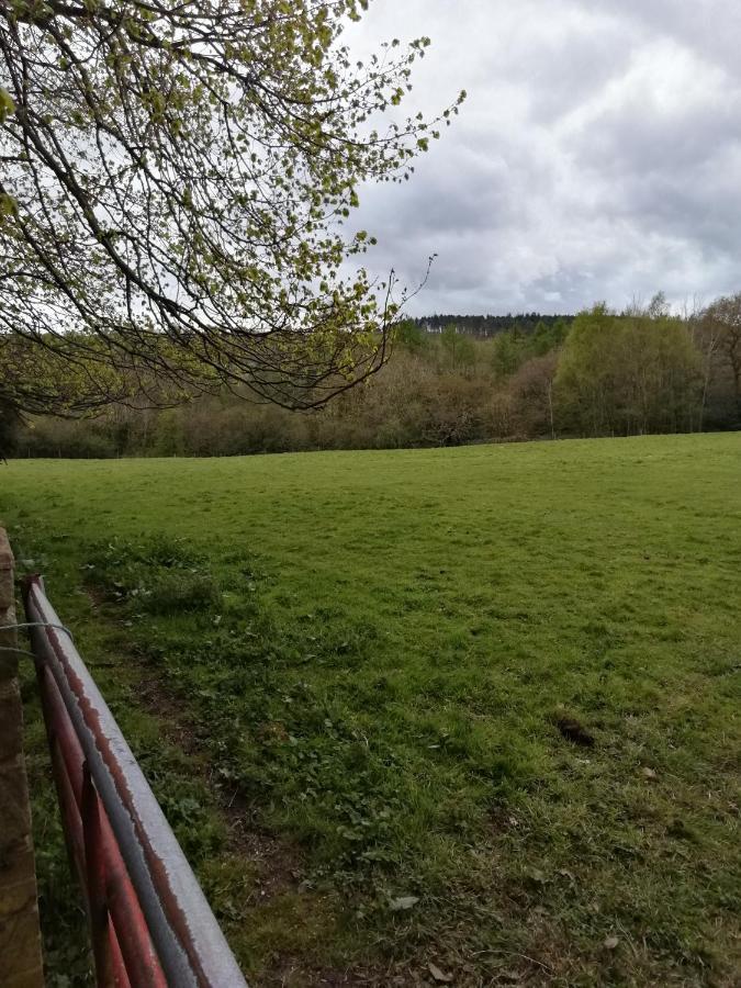 Durham Donkey Rescue Shepherd'S Hut Ξενοδοχείο Εξωτερικό φωτογραφία