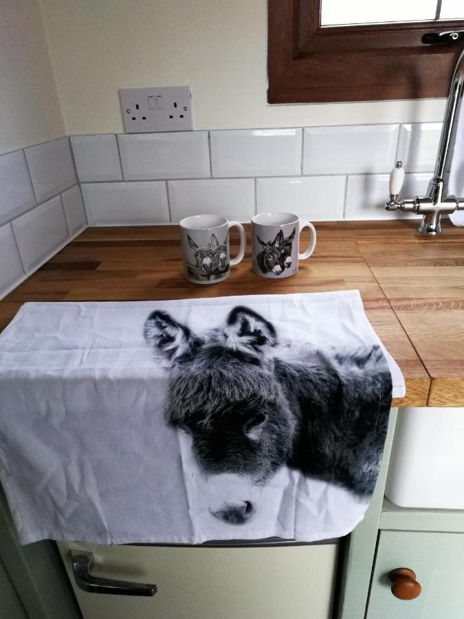 Durham Donkey Rescue Shepherd'S Hut Ξενοδοχείο Εξωτερικό φωτογραφία