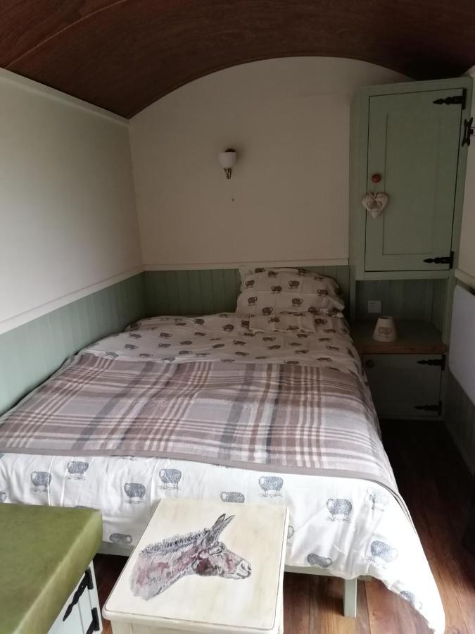 Durham Donkey Rescue Shepherd'S Hut Ξενοδοχείο Εξωτερικό φωτογραφία